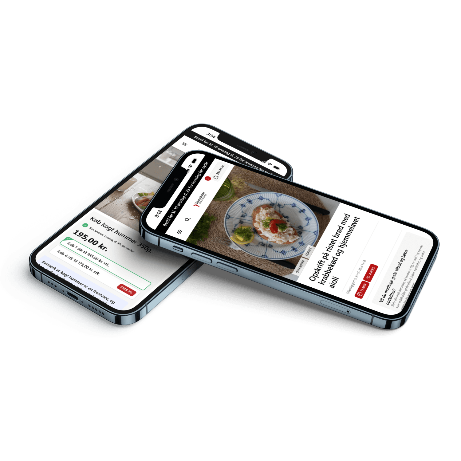 Hafiska.dk gik fra 400 besøgende i måneden til organisk millionomsætning